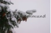 winter_11.jpg