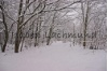 winter_4.jpg